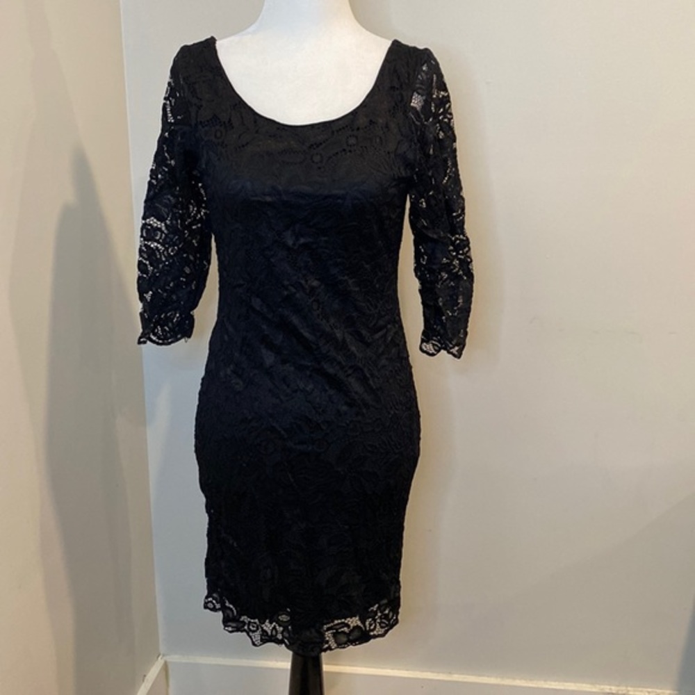 Velvet Torch Lace Dress